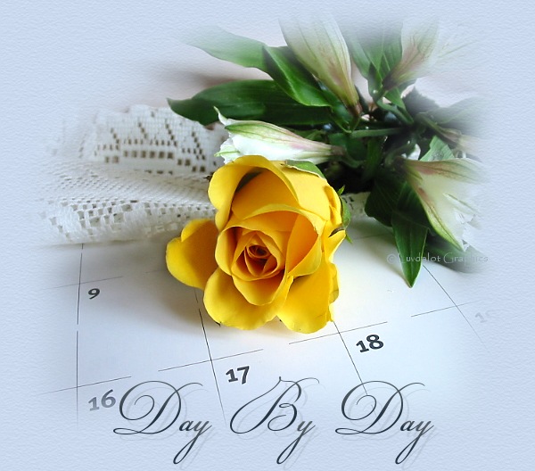 Digital Photo � Luvdalot Graphics & Design